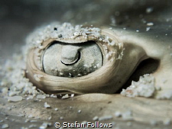 "Maybe that's what life is... a wink of the eye and winki... by Stefan Follows 